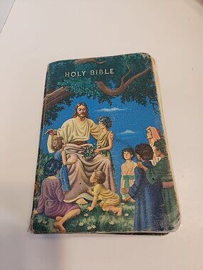 Vtg King James Version Holy Bible W/ Illustrated Cover World Publishing Co READ